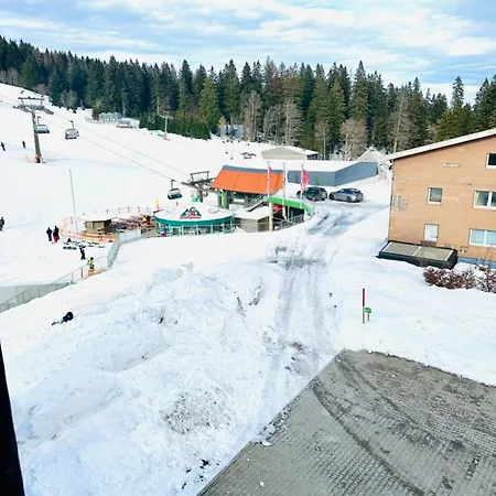 Residenz Seebuck Feldberg (Baden-Wurttemberg)